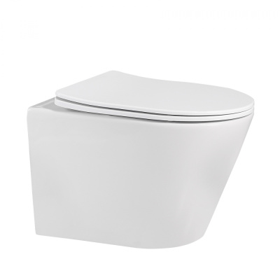 ABBER Bequem AC1102 подвесной белый, безободковый