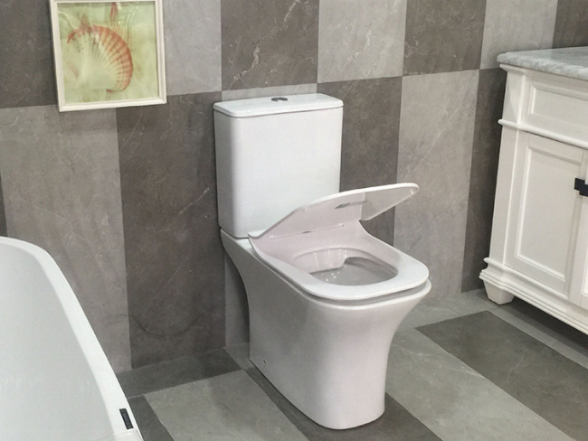 Ceruttispa Vettore CT7192